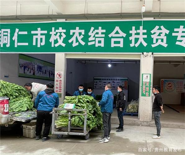 一码贵州校农结合可以手机填报数据吗?