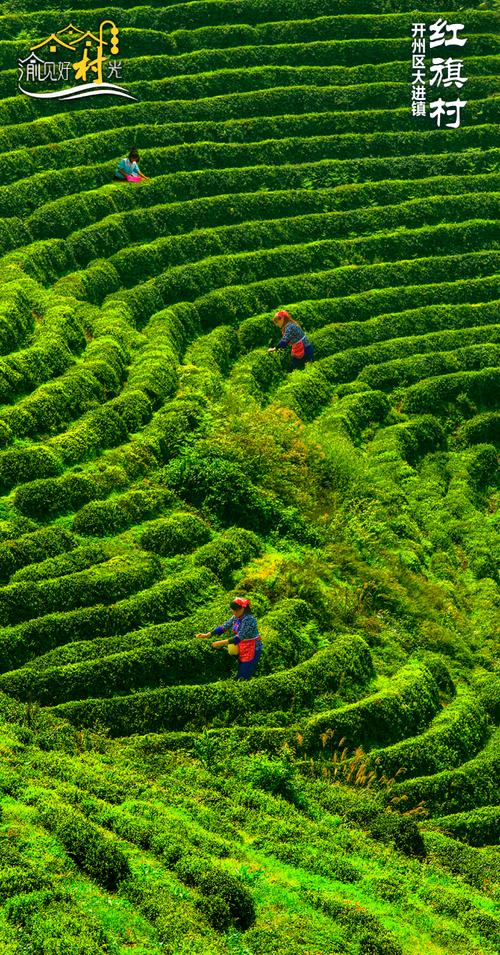 大进镇行政划分 大进镇行政划分