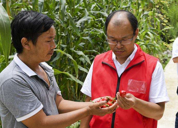 “扶智”、“扶志”上振兴人才 “扶智”、“扶志”上振兴人才