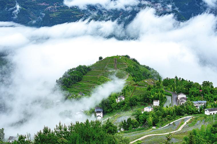 大专能进乡镇卫生院吗