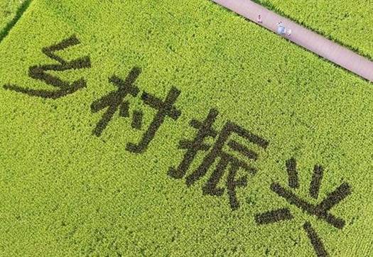 金职大讲堂第126讲丨“双高”项目建设的探索与实践之路——以黑龙江农... 金职大讲堂第126讲丨“双高”项目建设的探索与实践之路——以黑龙江农...