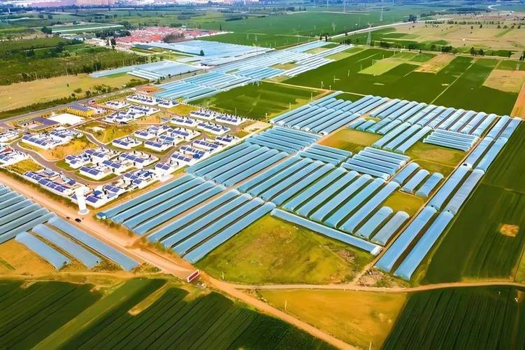 乡村振兴的工作思路和计划 乡村振兴的工作思路和计划