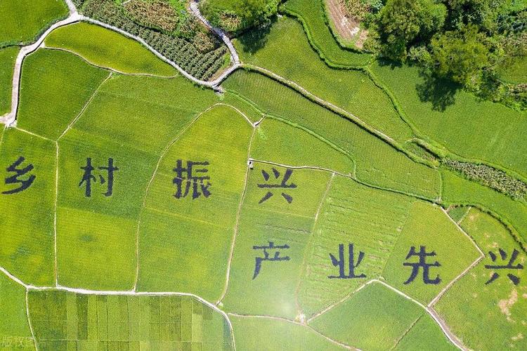 产业四个一批分别是什么 产业四个一批分别是什么