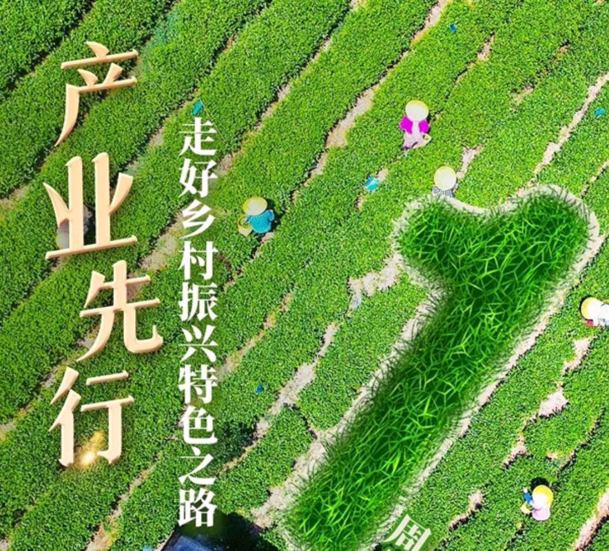 产业四个一批分别是什么 产业四个一批分别是什么